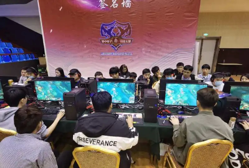 关于平台 关于平台